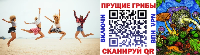 купить наркоту  Аша  Галлюциногенные грибы Psilocybe 
